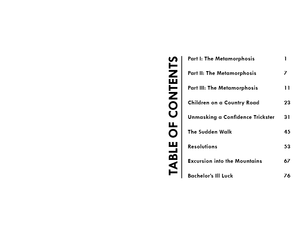 Image of The Metamorphosis inner book design